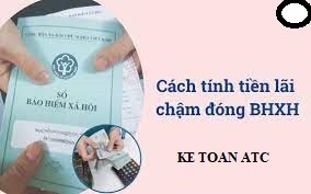 Hoc ke toan cap toc tai thanh hoa Nếu bạn chậm đóng tiền bảo hiểm bạn sẽ phải chịu phạt, vậy cách tính alxi nộp chậm và truy thu thế nào?