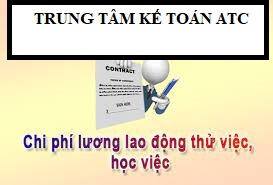 Hoc ke toan cap toc tai thanh hoa Chi phí trả lương cho người lao động thử việc có được tính là chi phí hợp lý không?Để hợp lý hóa chi