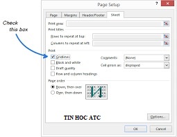 Hoc tin hoc van phong tai Thanh Hoa Khi bạn in file excel thường sẽ không hiển thị đường lưới, nếu bạn muốn in cả đường lưới hãy