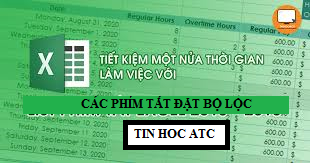 Học tin học tại thanh hóa Cách sử dụng phím tắt để đặt bộ lọc trong excel như thế nào để nhanh và hiệu quả, mời các bạn tham khảo