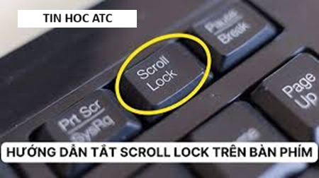Hoc tin hoc o thanh hoa Bạn muốn tắt tính năng scroll nhưng chưa biết cách? Mời bạn tham khảo cách làm sau đây:Kiểm tra xem máy tính có