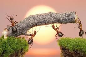 Học tin học thực hành tại thanh hóa Sắp tới là thời gian căng thẳng của các bạn chuyển cấp, vì thế tin học ATC muốn các bạn hãy ngẫm